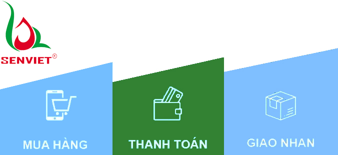 Hướng dẫn thanh toán đơn hàng mua điều hòa Sen Việt