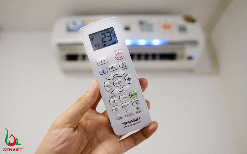 Nhiệt độ từ 22 đến 25 độ là phù hợp nhất