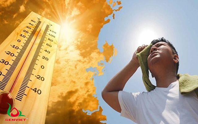 sốc nhiệt do trời nắng nóng